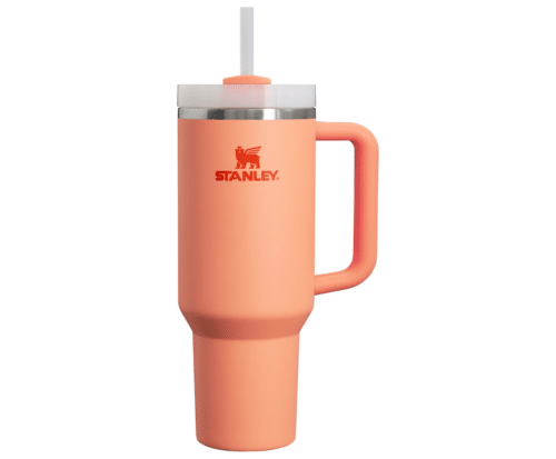 Stanley Quencher Tumbler in Nectarine