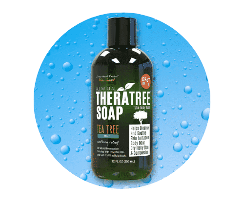 TheraTree Tea Tree Oil Body Wash For Men