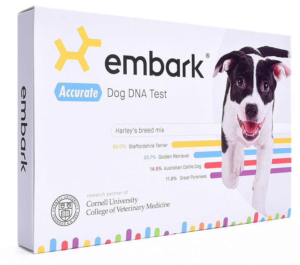 Gift Ideas For Husband 2025: Embark Dog DNA Kit 2025