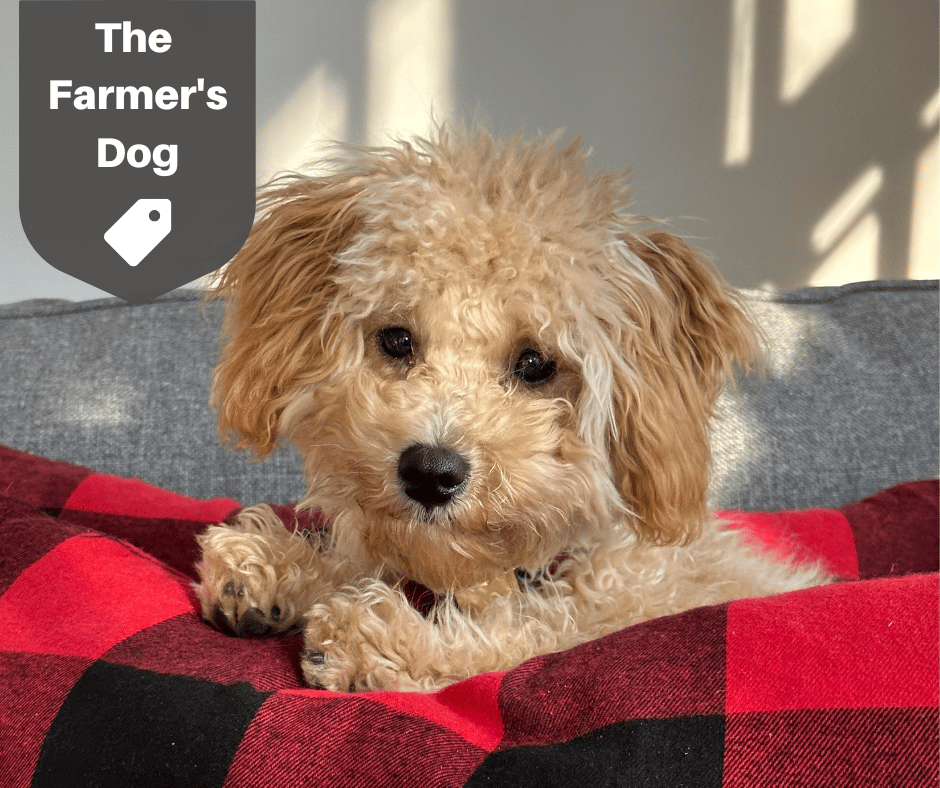 The Farmer's Dog Promo Codes March 2025