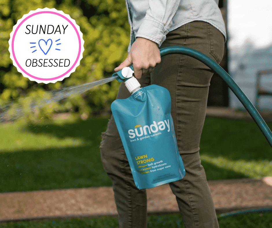 Sunday Lawn Promo Codes November 2024