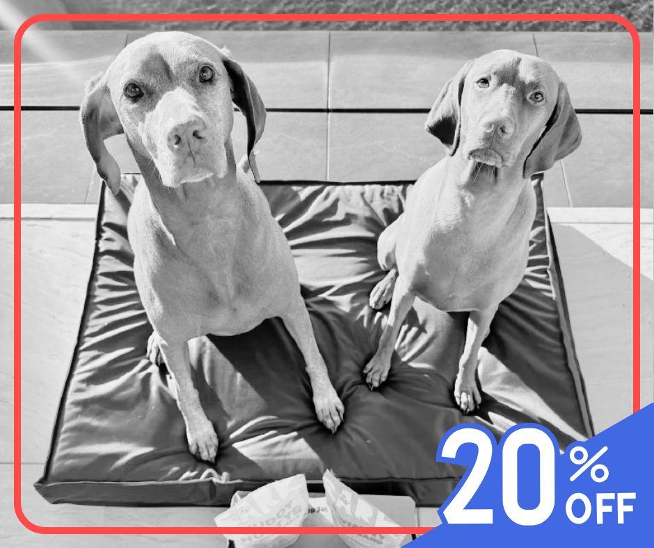 barkbox working coupons july 2026