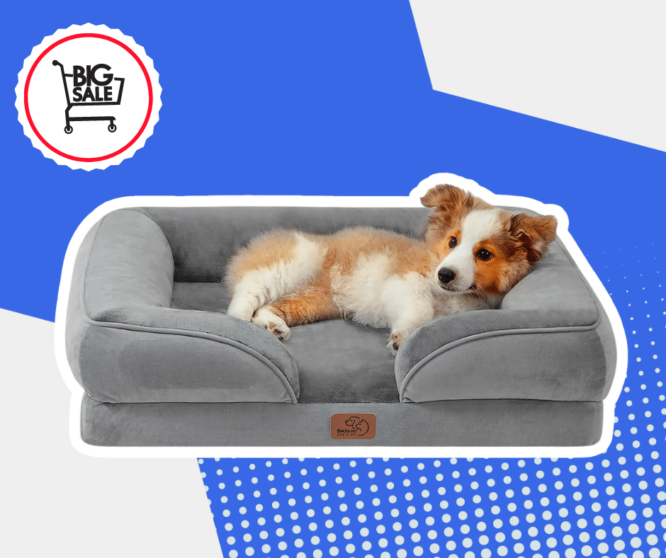 SALE ON DOG BEDS THIS AMAZON PRIME DAY 2025!