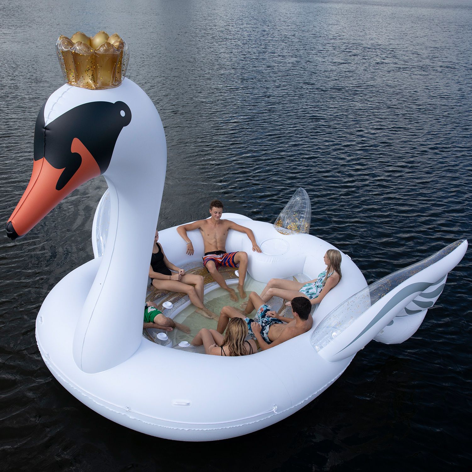 New Swan Party Bird Island Float Raft for 6 2025